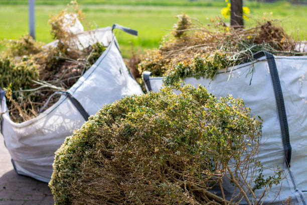 Best Basement Cleanout Services  in Conway, AR